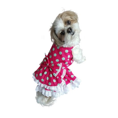 pretty-dog-dress-polka-dot-D347-DOG7