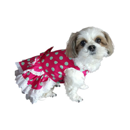 pretty-dog-dress-polka-dot-D347-DOG9