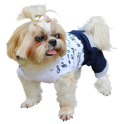 rock-never-die-dog-outfit-C094-DOG2