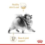 Royal Canin Breed Health Nutrition Pomeranian (Wet Food – Pouches) 12 x 85 g Royal Canin Breed Health Nutrition Pomeranian (Wet Food – Pouches) 12 x 85 g