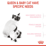 Royal Canin Feline Health Nutrition Mother & Babycat 4 kg
