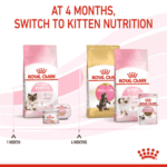 Royal Canin Feline Health Nutrition Mother & Babycat 4 kg