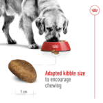 Royal Canin Size Health Nutrition Maxi Adult 10 kg Royal Canin Size Health Nutrition Maxi Adult 10 kg