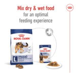 Royal Canin Size Health Nutrition Maxi Adult 10 kg Royal Canin Size Health Nutrition Maxi Adult 10 kg