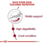 Royal Canin Size Health Nutrition Medium Adult 7+ 10 kg