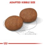 Royal Canin Size Health Nutrition Medium Adult 7+ 10 kg