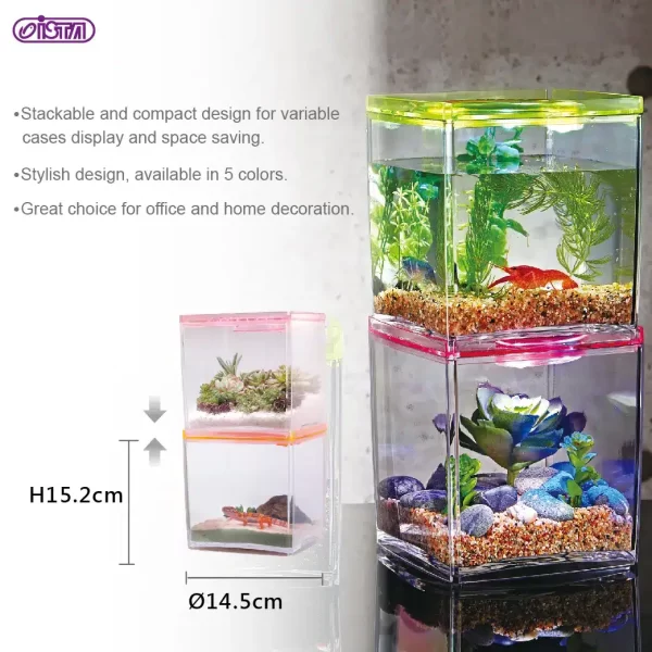 Stylish Display Case-Square Tank