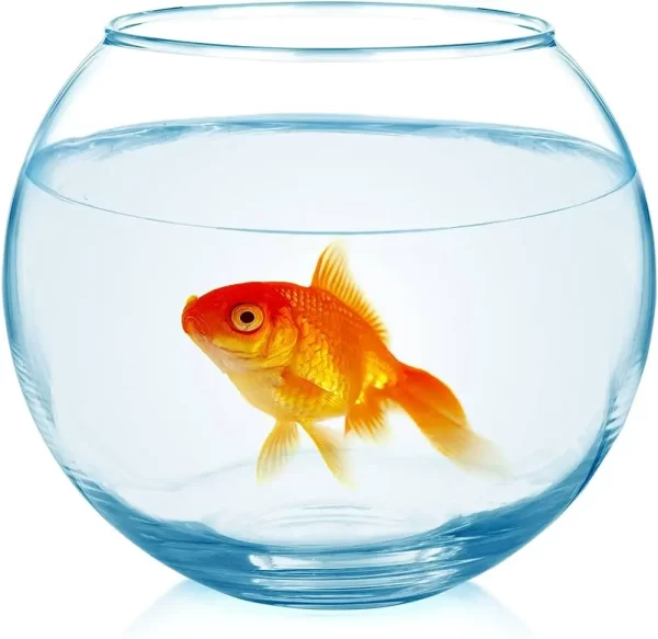 Glass Fish Bowl