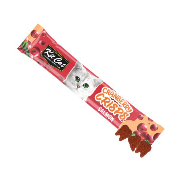 Kit Cat Cranberry Crisps Salmon 20g
