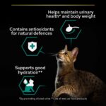 Purina Pro Plan Sterilised in Beef with Sauce 85G