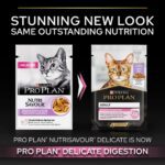 Purina Pro Plan Delicate Digestion with Turkey in sauce 85G