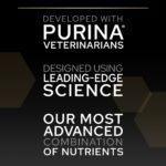 PURINA Pro Plan Sterilised Adult 1+ Delicate Digestion in Chicken 400G