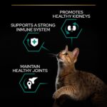 Purina Pro Plan Renal Plus in Chicken 1.5Kg