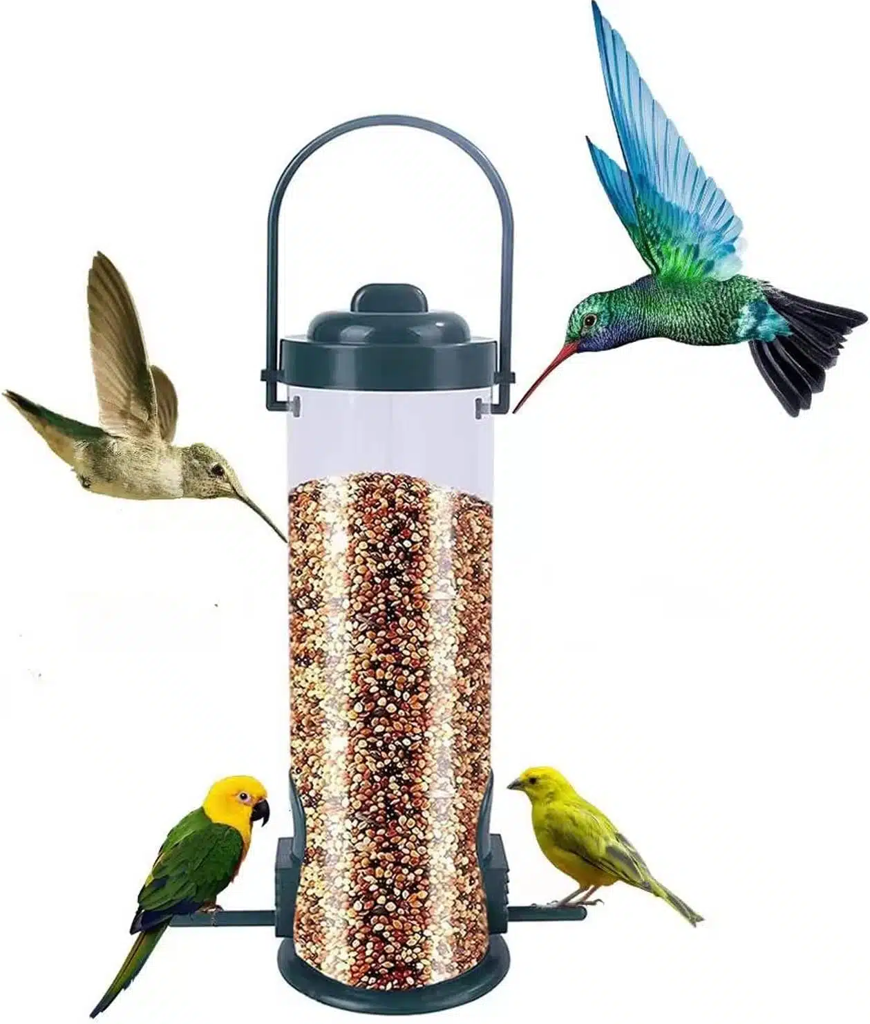 Oasis Bird Feeder 680 Ml