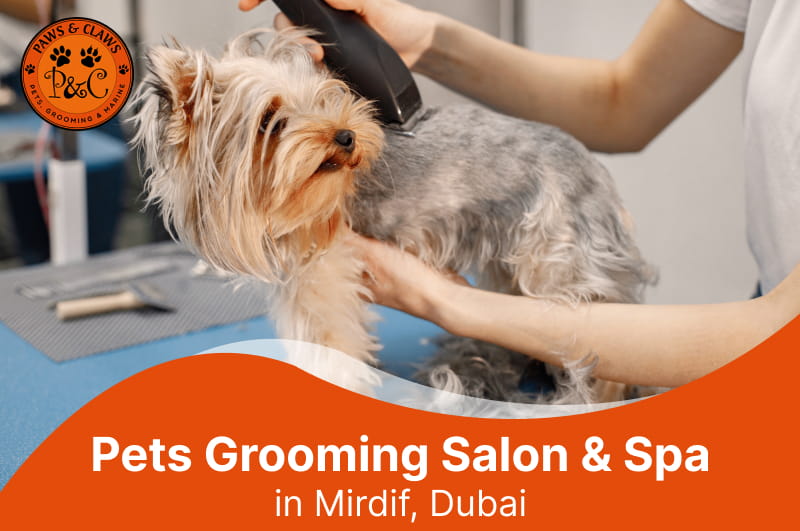 Paws & Claws Pets grooming salon in Mirdif, Dubai, providing professional pet grooming and spa services for dogs in a clean and caring environment.