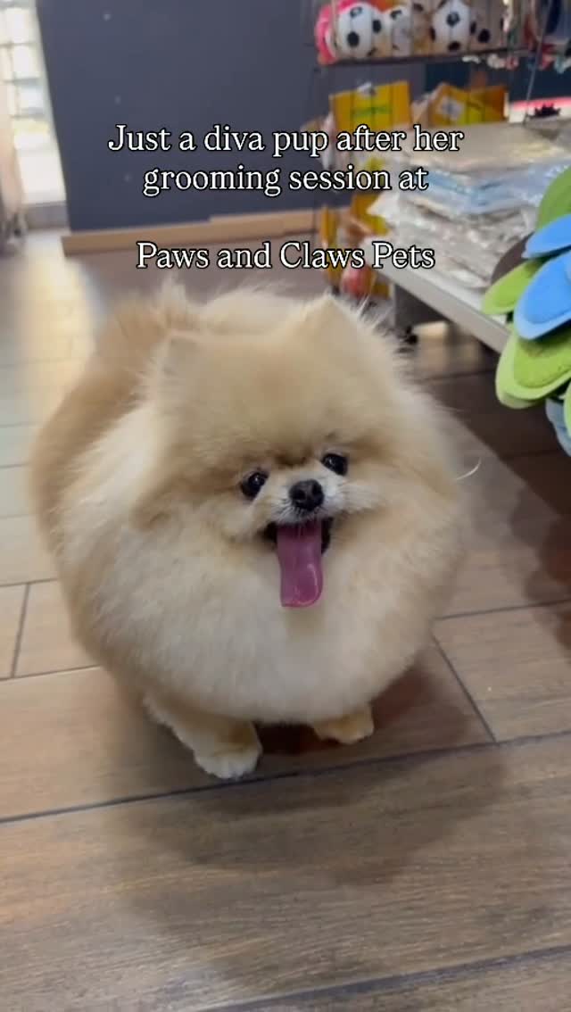 Your Pet’s Happy Place for Premium Care